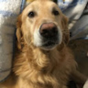 Meet your Posher, Ava